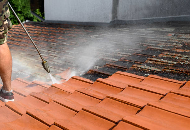 Best Affordable Pressure Washing  in Lyncourt, NY
